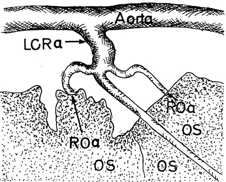Fig. 2a.