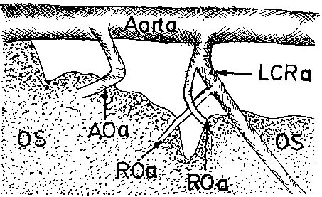 Fig. 2b.