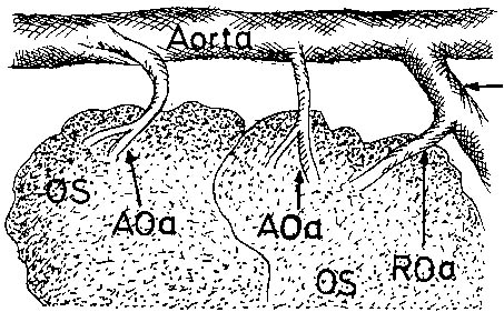 Fig. 2c.
